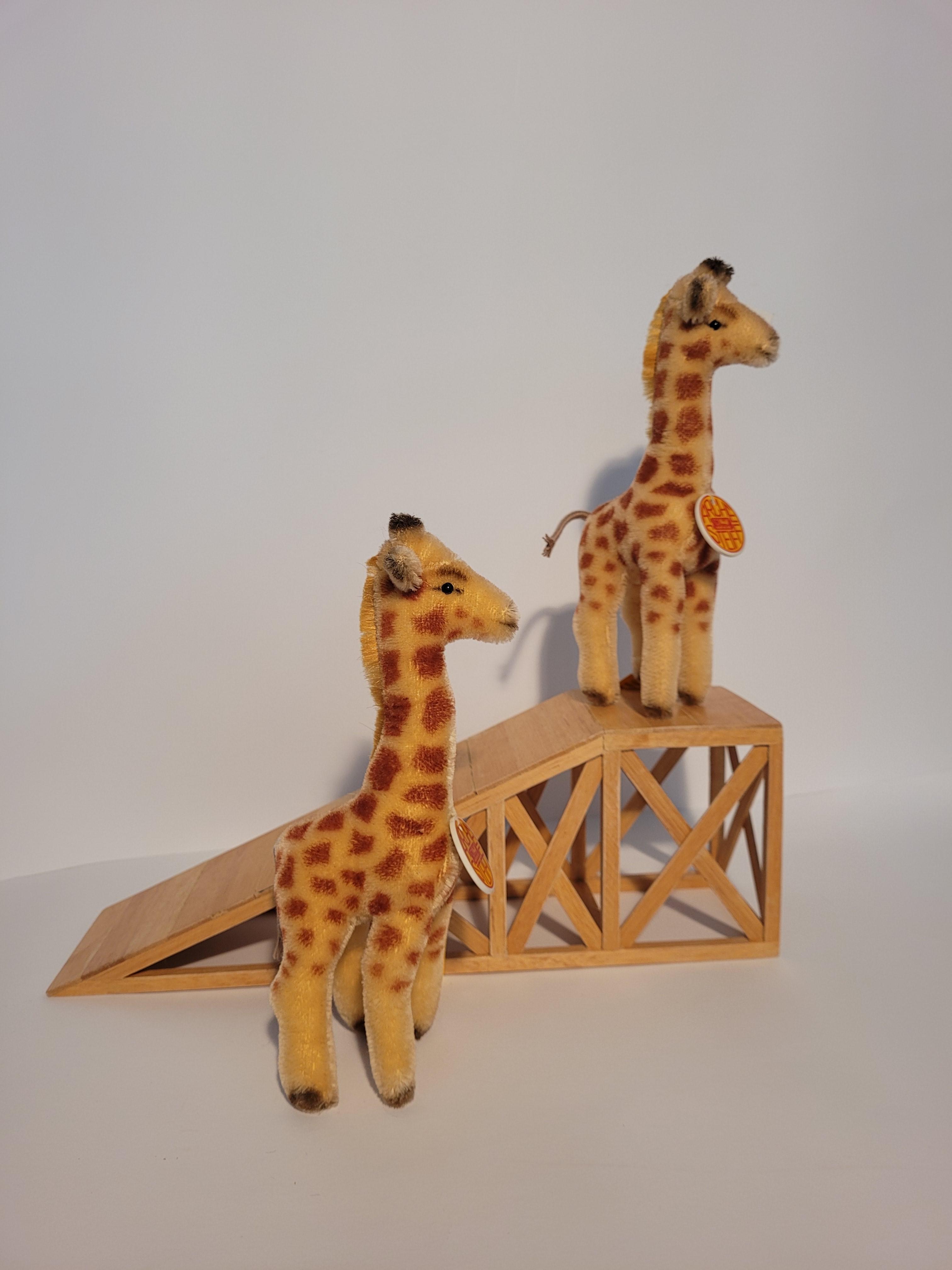 Arche Giraffen – Set 